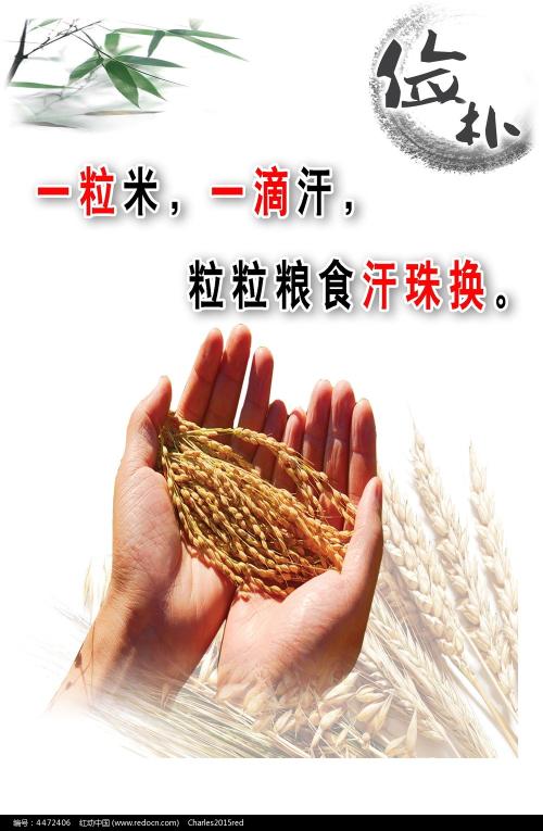 波尔州立大学硕士offer